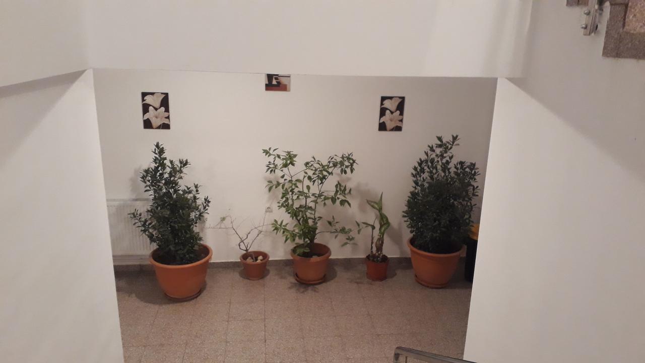 Casa Dobrescu Centura De Nord Hotel Craiova Buitenkant foto